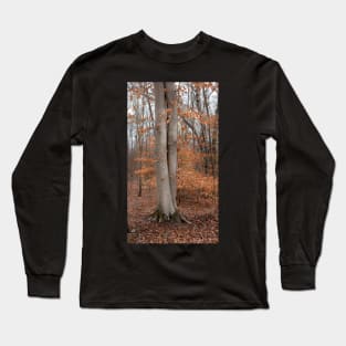 The Beech Tree Long Sleeve T-Shirt